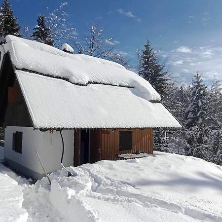 Pocitniska Hisa Jeklar Villa Bohinj Esterno foto