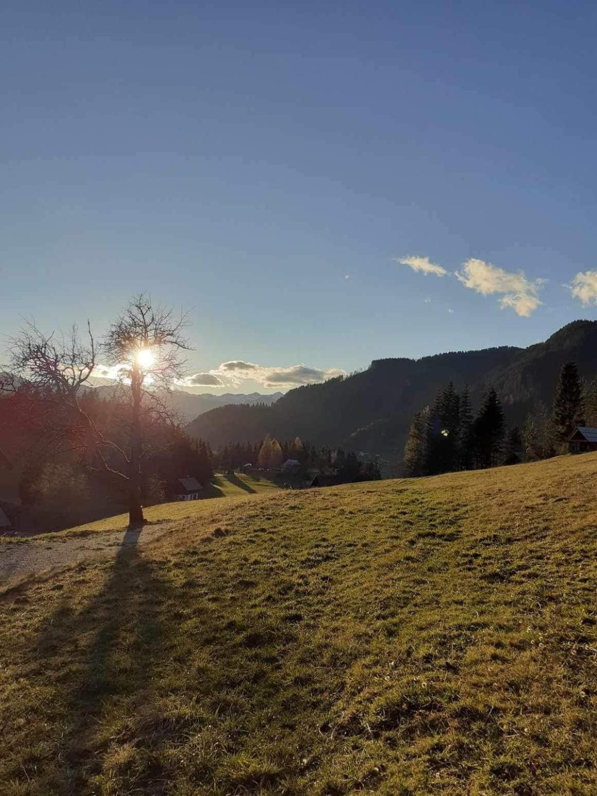 Pocitniska Hisa Jeklar Villa Bohinj Esterno foto