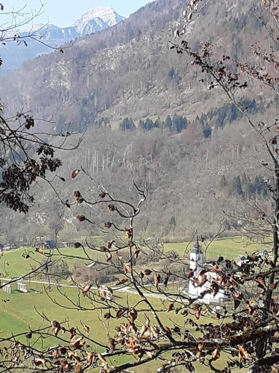 Pocitniska Hisa Jeklar Villa Bohinj Esterno foto